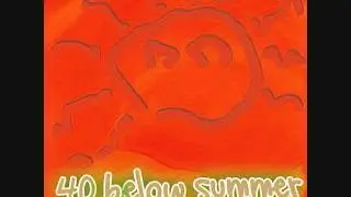 40 Below Summer - 5 LB. Bag