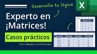 Cómo convertirse en un Experto en Matrices de Excel ¿Conceptos o Práctica?