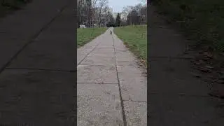 Kretka 🐕🐾🐾