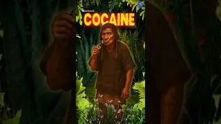 How Cocaine Was Discovered in the 1850s  #historyshorts