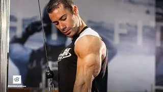 Arms by Alex Carneiro | Strong Biceps & Triceps Workout