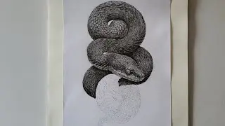 &ldquo;Realistic Snake Pencil Drawing LIVE | Hyper Detailed Snake Art | Satisfying Art&rdquo;