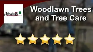 Woodlawn Trees and Tree Care Reviews - 5 Stars for Tree Service in Newville
