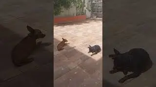 17 de janeiro de 2026