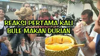 REAKSI PERTAMA KALI BULE MAKAN DURIAN