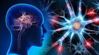 100% PURE ALPHA BRAIN WAVES FOR MEDITATION , FOCUS, STUDY, INTELLIGENCE: INSTANT RESULT