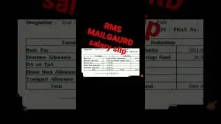 RMS MAILGAURD salary slip 2022