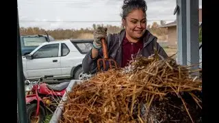 Composting 101 with Biowaste Technology