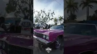 73 donk on Asanti wheels
