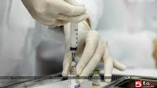 Swine flu claims eighth human victim in Vietnam in 2018
