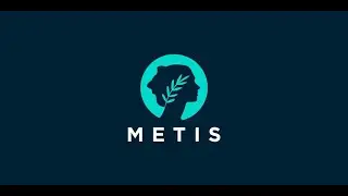 Делаем активности и проходим Testnet Metis