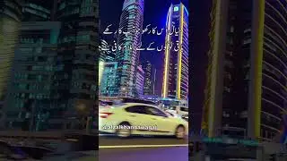 aqwal-e-zareen by Afzal Khan Nawagai Chamla Mandanr Buner #aqwal-e-zareen  / #afzalkhannawagai