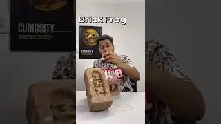 Reason behind a brick frog #indianarchitecture #informative #design #construction #civilengineer