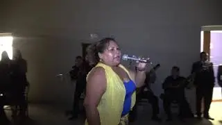 Roxana Palacios - Todos vuelven / Gallero Trava / Fina estampa