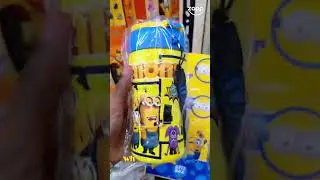 Minion Lunch Box & Water Bottle