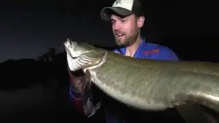 MUSKIE FISHING - How important is a figure 8?
