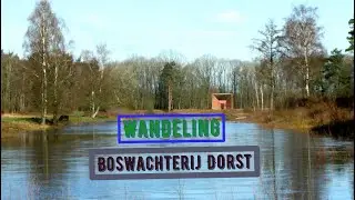 Boswachterij Dorst
