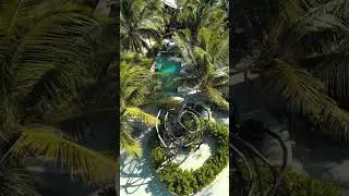 Mia Beach Club Tulum | Day to Night Experience in Tulum&rsquo;s Best Beach Club