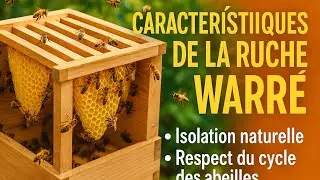 Caract&eacute;ristique d'une ruche Warr&eacute; ?!