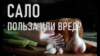 Сало - полезные и опасные свойства