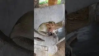 🤔enna polappu idhu 😜 namma valkai yethai nokki poirtruku 🤣whatsapp status
