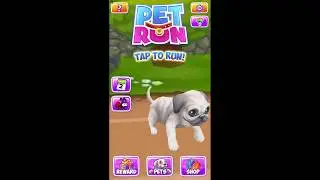 Pet Run - Puppy Dog Game (Ginger)