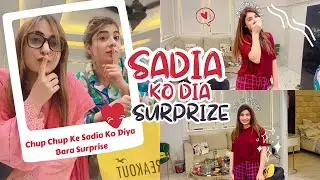 Surprising To Sadia 😱 Humare Bags bhi agaye | Zehra Baloch Vlog