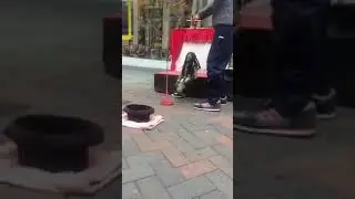 RASTA DOLL SINGS REGGAE