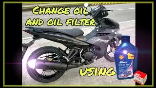 Change Oil and Oil Filter (Using Shell Advanced Long ride)