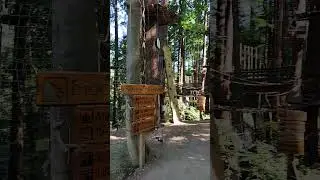 Kletterwald Bendorf Sayn
