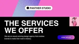 Pink Panther Studio | Digital Marketing & Designing Agency | Introduction #digitalmarketing #agency