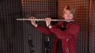 Instrumentenkunde Querflöte: Formen und Größen: Piccolo, Alt und Bassquerflöte