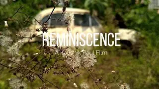 Reminiscence | Notions of perception | Lindsey Stirling violin mix