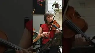 BEETHOVEN SERIOSO mvt3 is live on our channel!  #beethoven