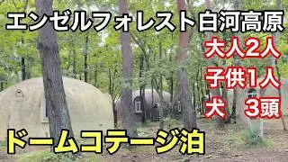 エンゼルフォレスト白河高原はワンちゃんの楽園だった！？