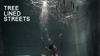 Tree Lined Streets - Jump in the Water