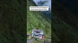 swiss van java wonosobo- desa tertinggi di tanah jawa #petualangpedesaan #masawan #ruralindonesia