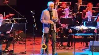 Yellowjackets - The red sea - Live in Skopje