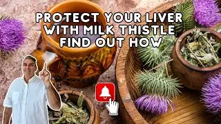 How Milk Thistle Can Transform Your Liver Health in Days