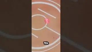 Explaining the two most Mysterious Pok&eacute;mon..  🤔
