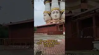 A day in my life - Exploring Bangalore. Check out full vlog on the channel. @wildflowertales