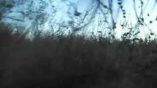 SDC10393