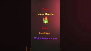 #teamHeston