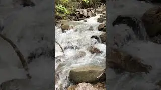 Reid Waterfall 3 #shorts #alaska