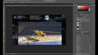 SCFE   PHOTOSHOP TUTORIAL   REMOVING OBJECTS FROM PHOTOS