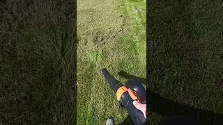 Dmuchawa Stihl BR800 w pracy przy wertykulacji trawnika. #stihl #dmuchawa #blower #gardening #garden