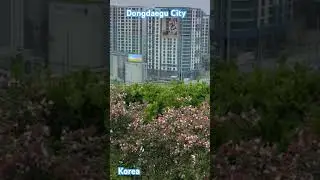 City view that calms your mind 🌤️✨Dongdaegu Travel #CityViews #TravelMoments #KoreaScenery