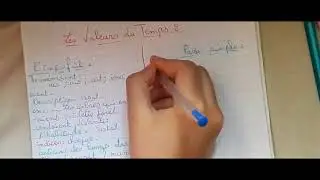 Les valeurs du temps أبسط شرح باللغة الفرنسية و العربية (خطيييير