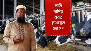 ভালো সিমেন দিলেই কি জাত উন্নয়ন হবে । Bull Semenation And record keeping । Dairy cow Business