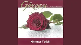 Hay Demiyor Mu